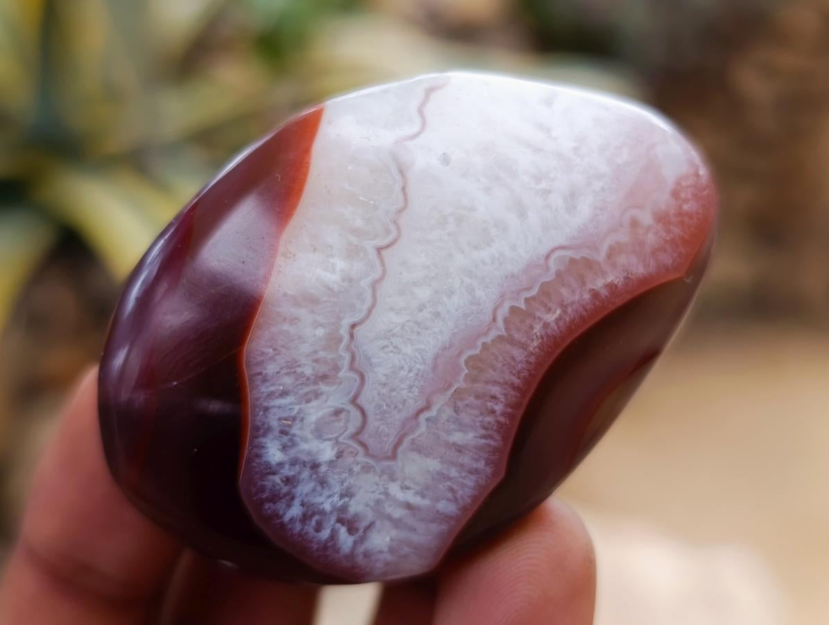 Polished Red Shashe River Agate Galets x 70 From Shashe River, Zimbabwe - Toprock Gemstones and Minerals 