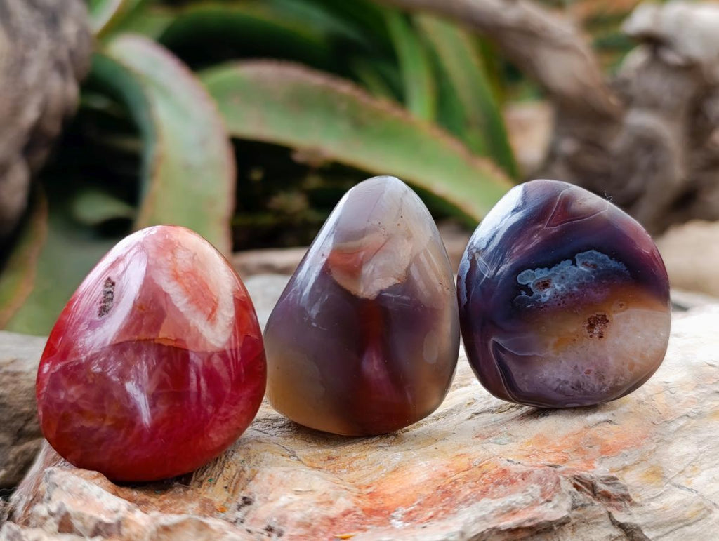 Polished Red Shashe River Agate Galets x 70 From Shashe River, Zimbabwe - Toprock Gemstones and Minerals 