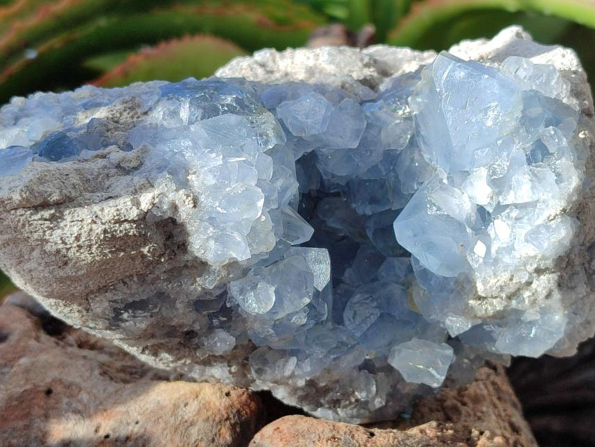 Natural Blue Celestite Cluster Specimens x 2 From Sakoany, Madagascar - Toprock Gemstones and Minerals 
