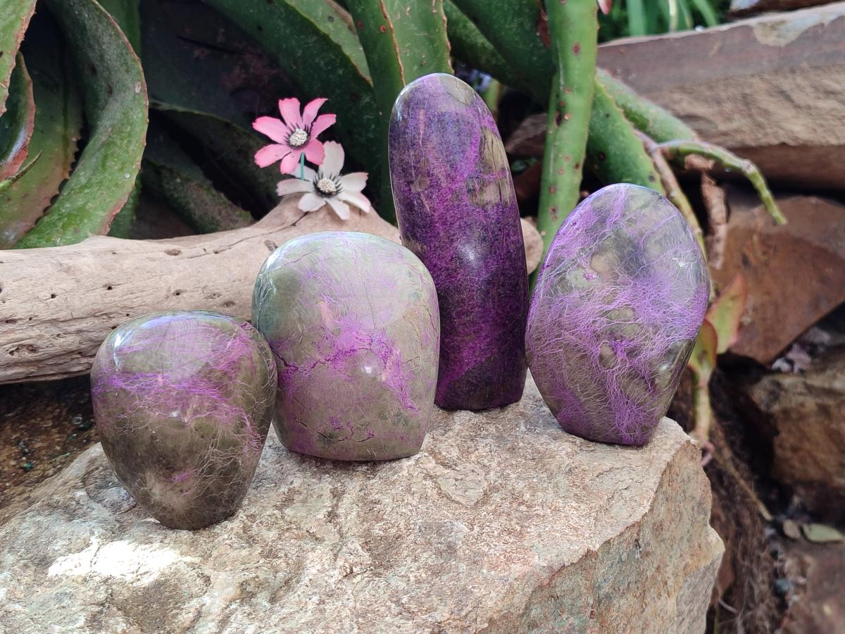 Polished Stichtite Standing Free Forms x 4 From Barberton, South Africa - Toprock Gemstones and Minerals 