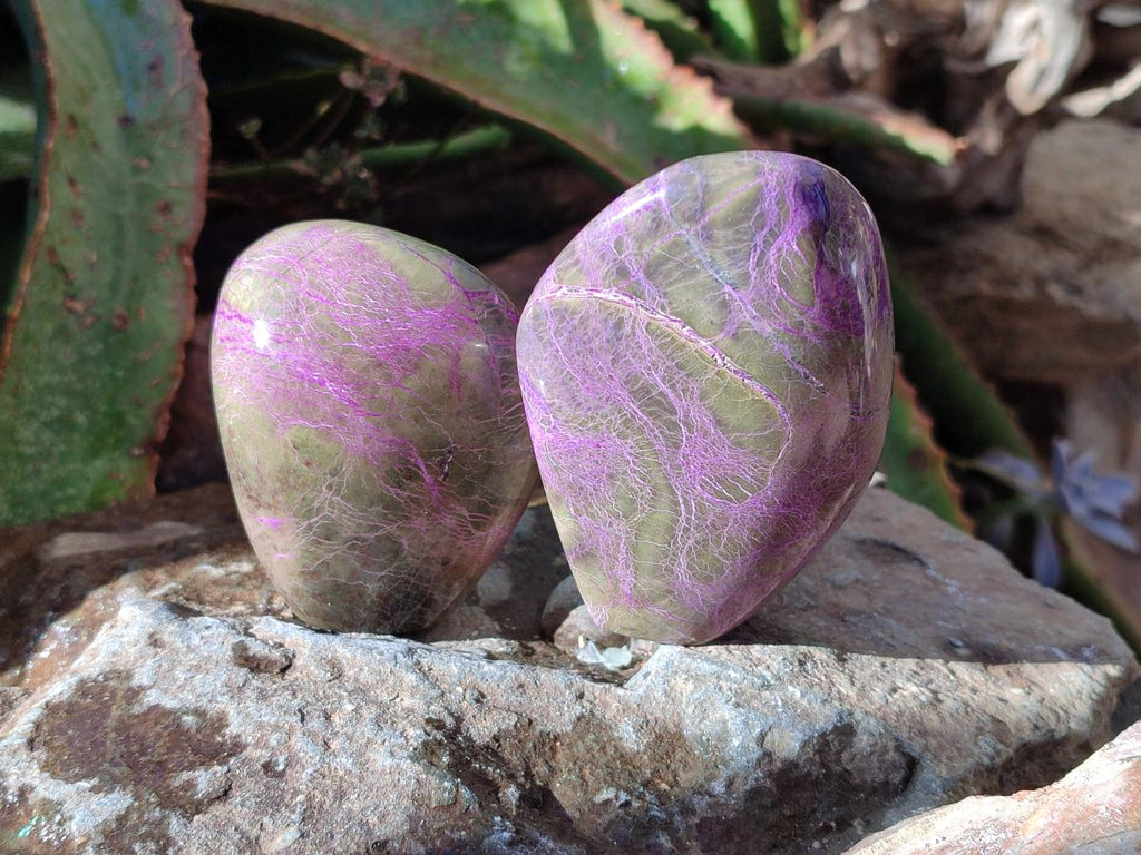 Polished Stichtite Standing Free Forms x 4 From Barberton, South Africa - Toprock Gemstones and Minerals 