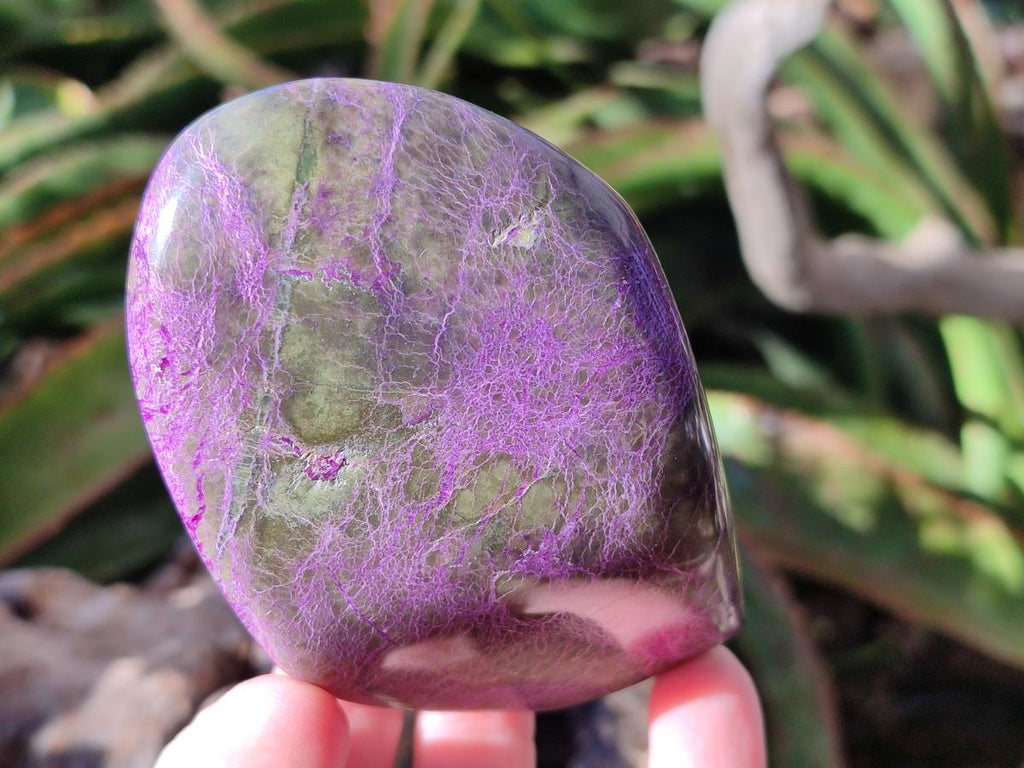 Polished Stichtite Standing Free Forms x 4 From Barberton, South Africa - Toprock Gemstones and Minerals 