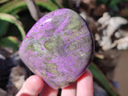 Polished Stichtite Standing Free Forms x 4 From Barberton, South Africa - Toprock Gemstones and Minerals 
