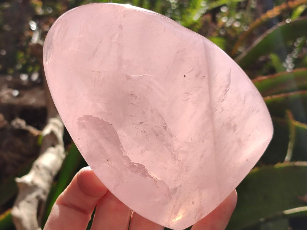 Polished Gemmy Rose Quartz Standing Free Forms x 2 From Madagascar - Toprock Gemstones and Minerals 