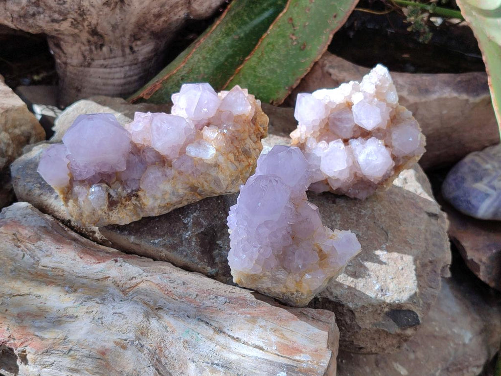 Natural Smokey Amethyst Spirit Clusters x 3 From Boekenhouthoek, South Africa - Toprock Gemstones and Minerals 