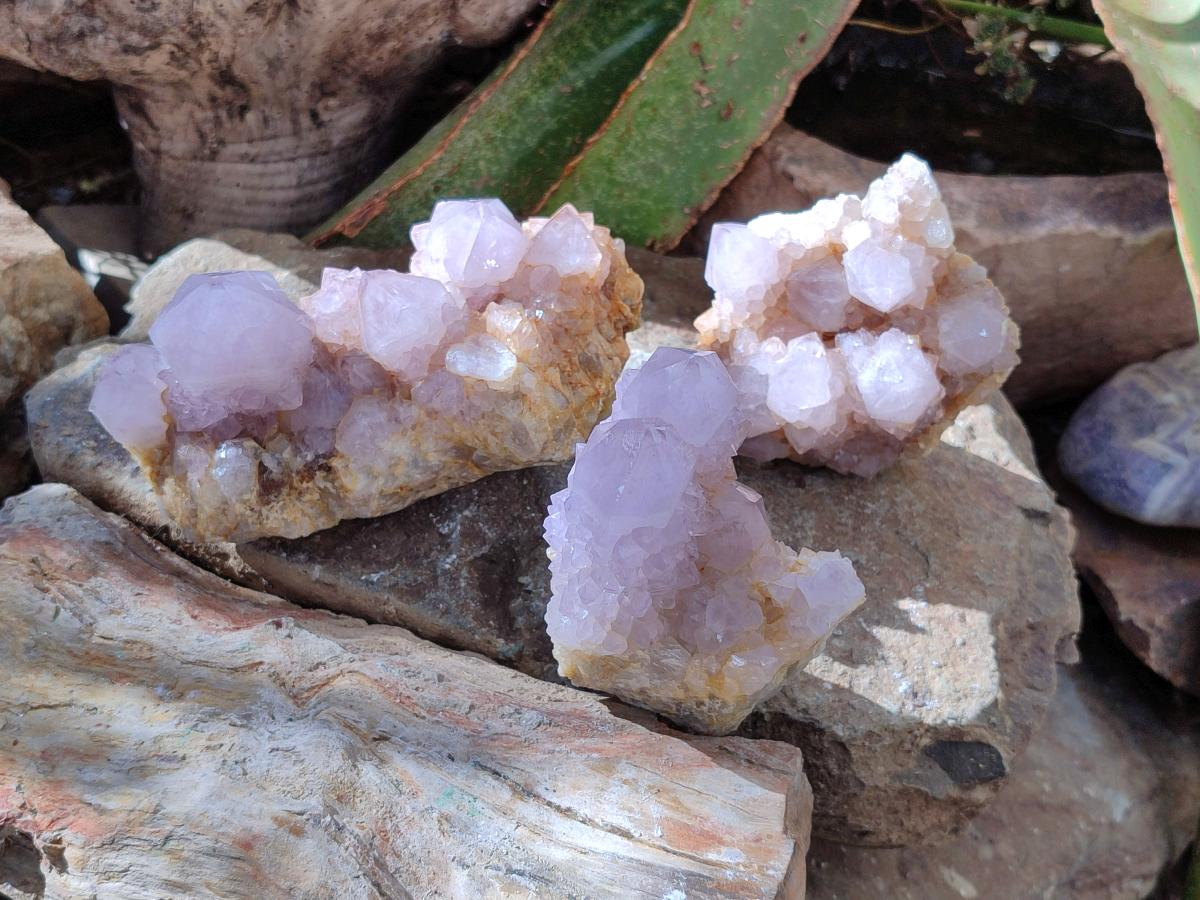 Natural Smokey Amethyst Spirit Clusters x 3 From Boekenhouthoek, South Africa - Toprock Gemstones and Minerals 