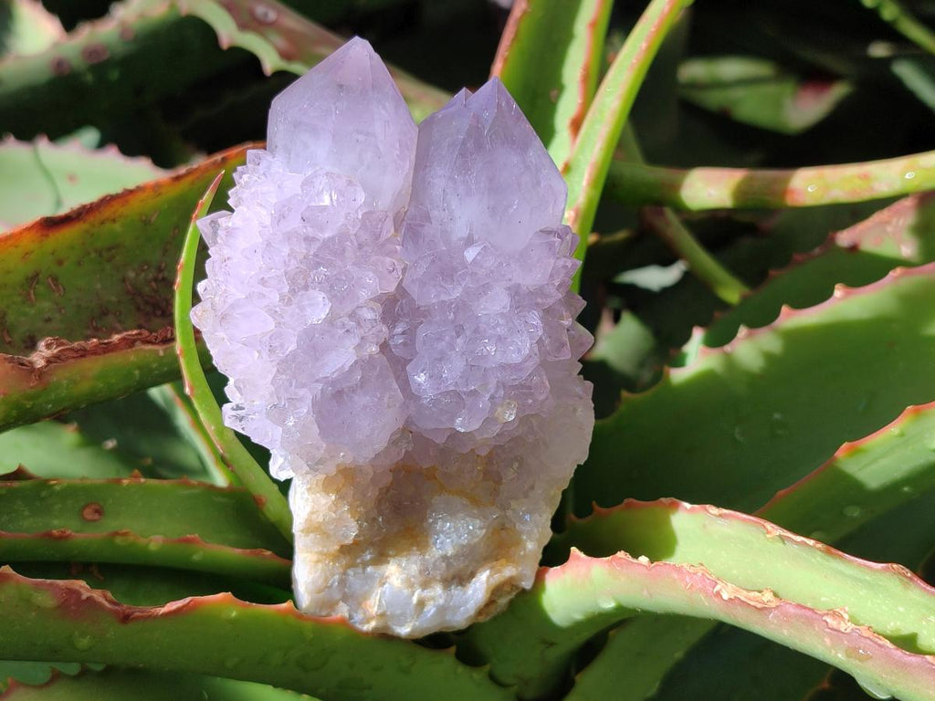 Natural Smokey Amethyst Spirit Clusters x 3 From Boekenhouthoek, South Africa - Toprock Gemstones and Minerals 