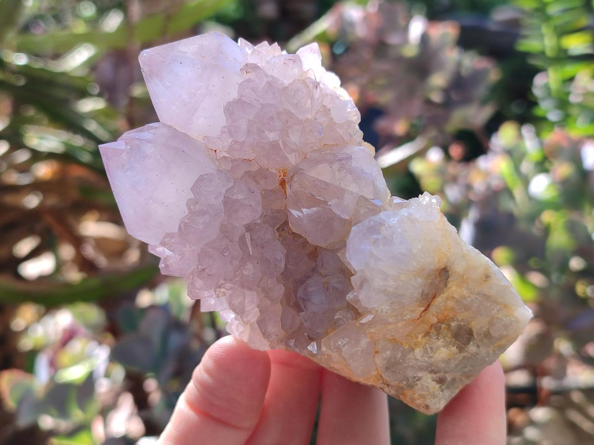 Natural Smokey Amethyst Spirit Clusters x 3 From Boekenhouthoek, South Africa - Toprock Gemstones and Minerals 