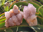Natural Smokey Amethyst Spirit Clusters x 3 From Boekenhouthoek, South Africa - Toprock Gemstones and Minerals 