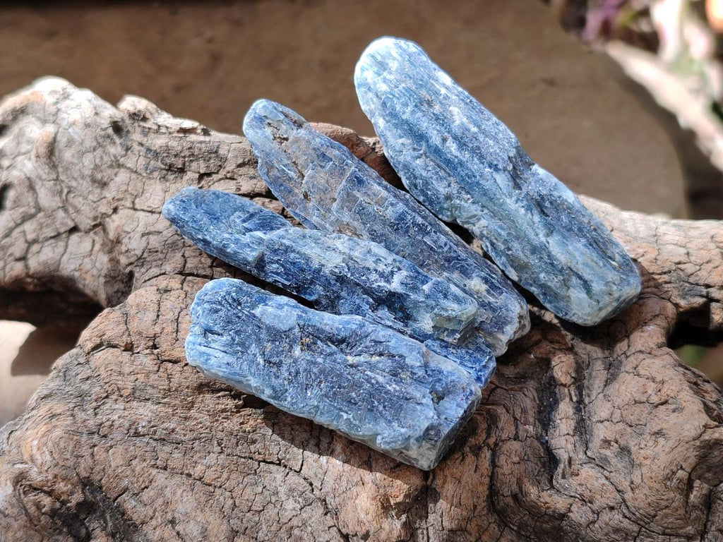 Natural Kyanite Crystals x 1.95 Kg Lot From Karoi, Zimbabwe - Toprock Gemstones and Minerals 