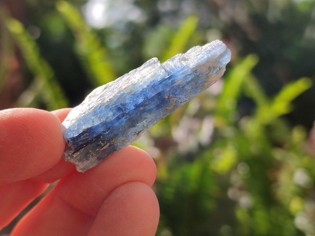 Natural Kyanite Crystals x 1.95 Kg Lot From Karoi, Zimbabwe - Toprock Gemstones and Minerals 