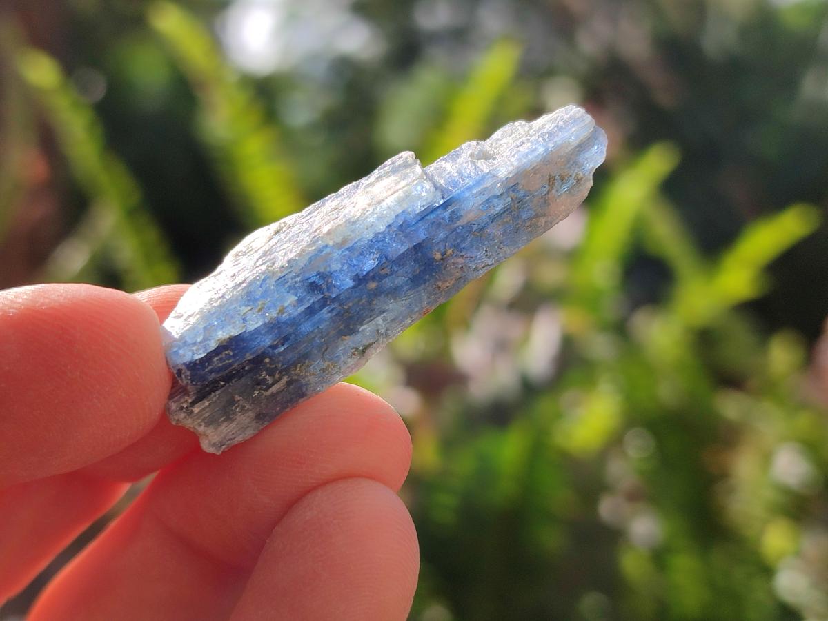Natural Kyanite Crystals x 1.95 Kg Lot From Karoi, Zimbabwe - Toprock Gemstones and Minerals 