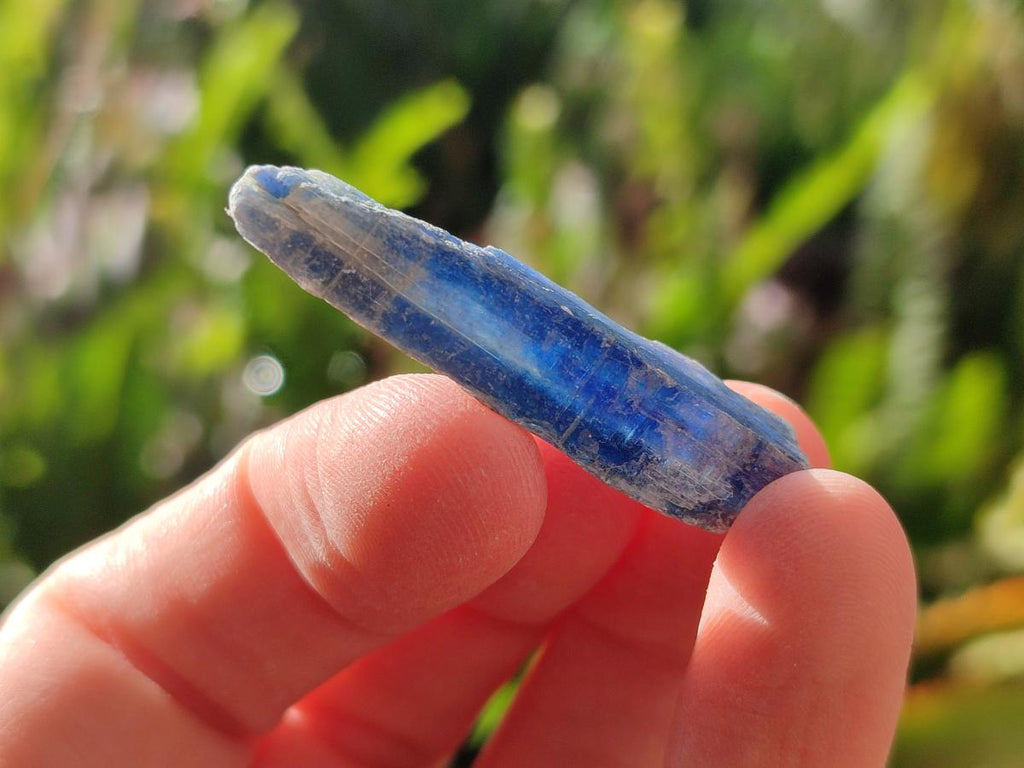 Natural Kyanite Crystals x 1.95 Kg Lot From Karoi, Zimbabwe - Toprock Gemstones and Minerals 