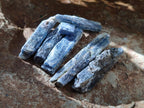 Natural Kyanite Crystals x 1.95 Kg Lot From Karoi, Zimbabwe - Toprock Gemstones and Minerals 