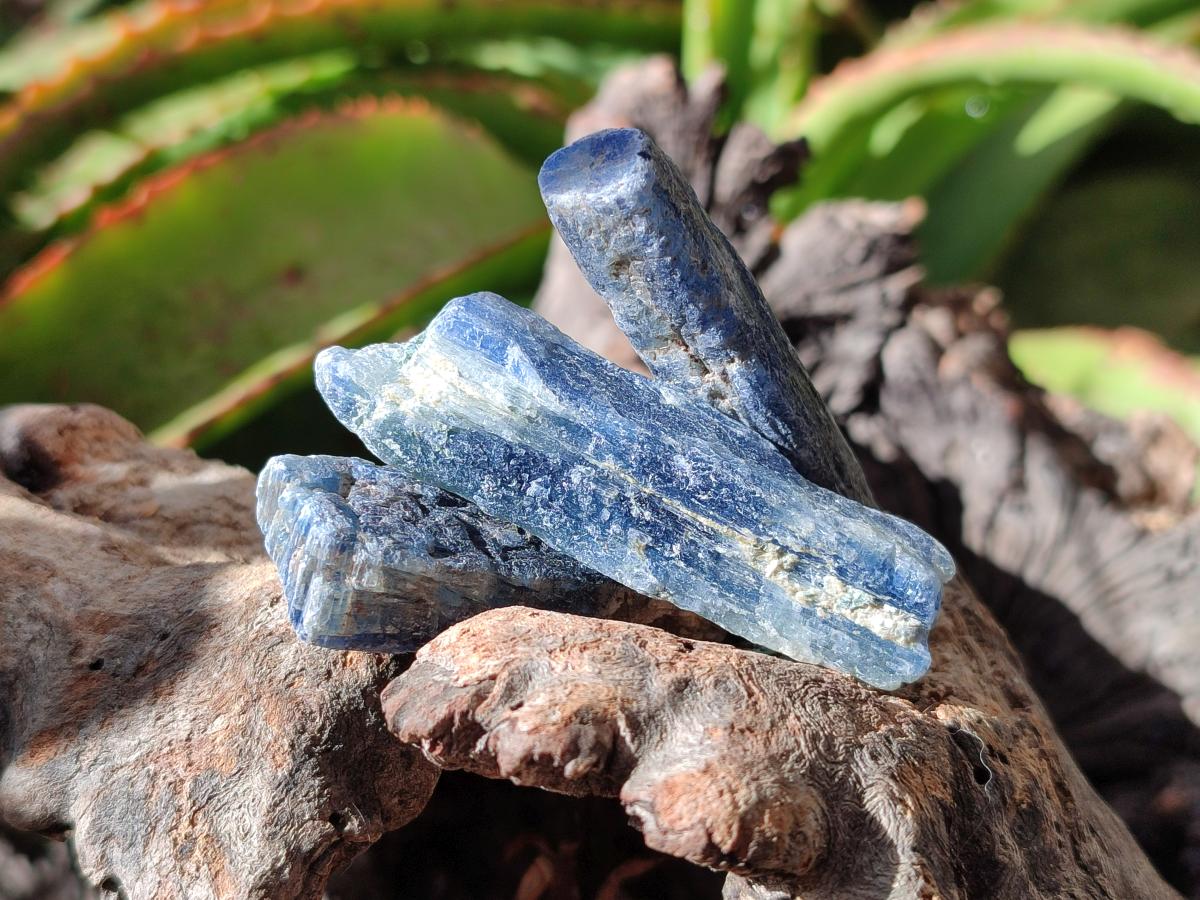 Natural Kyanite Crystals x 1.95 Kg Lot From Karoi, Zimbabwe - Toprock Gemstones and Minerals 