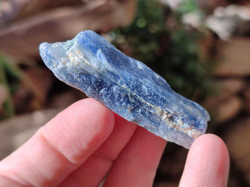 Natural Kyanite Crystals x 1.95 Kg Lot From Karoi, Zimbabwe - Toprock Gemstones and Minerals 