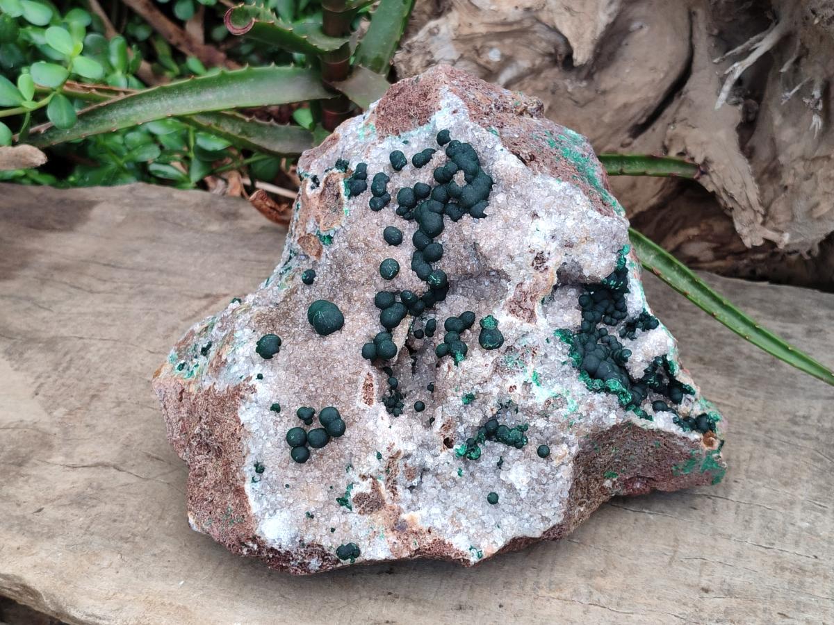 Natural Large Ball Malachite on Crystalline Quartz Dolomite Matrix x 1 From Mindingi Mine, Kambove, Congo - Toprock Gemstones and Minerals 