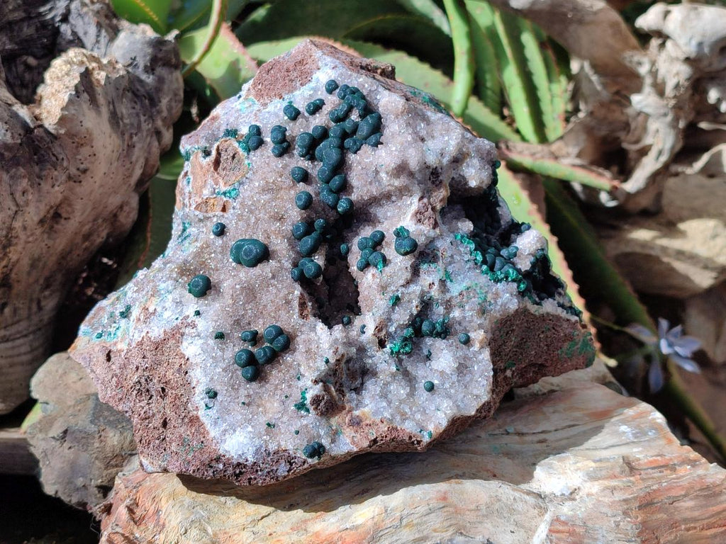 Natural Large Ball Malachite on Crystalline Quartz Dolomite Matrix x 1 From Mindingi Mine, Kambove, Congo - Toprock Gemstones and Minerals 