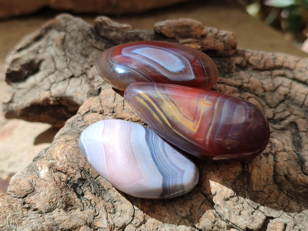 Polished Red Shashe River Agate Free Forms x 70 From Shashe River, Zimbabwe - Toprock Gemstones and Minerals 