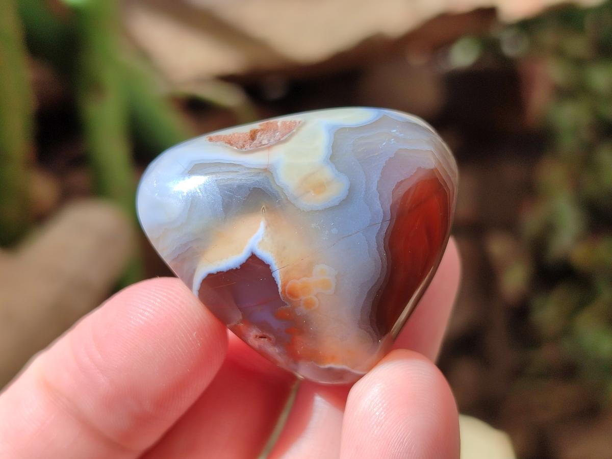 Polished Red Shashe River Agate Free Forms x 70 From Shashe River, Zimbabwe - Toprock Gemstones and Minerals 