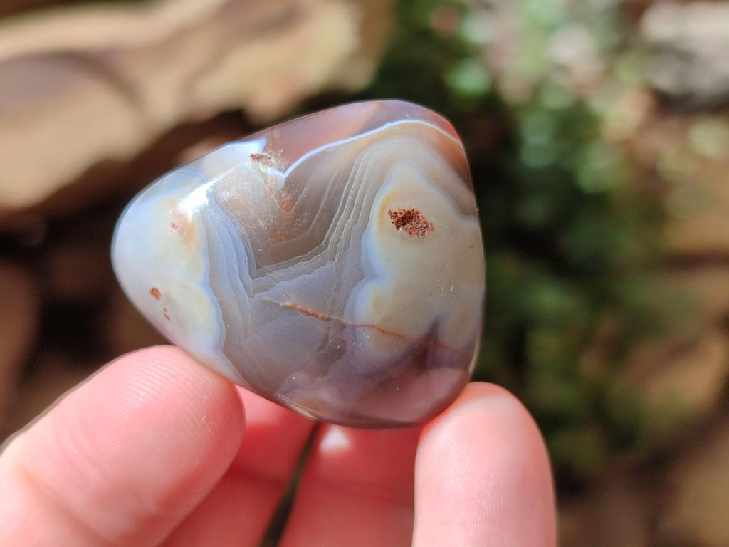 Polished Red Shashe River Agate Free Forms x 70 From Shashe River, Zimbabwe - Toprock Gemstones and Minerals 