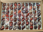 Polished Red Shashe River Agate Free Forms x 70 From Shashe River, Zimbabwe - Toprock Gemstones and Minerals 