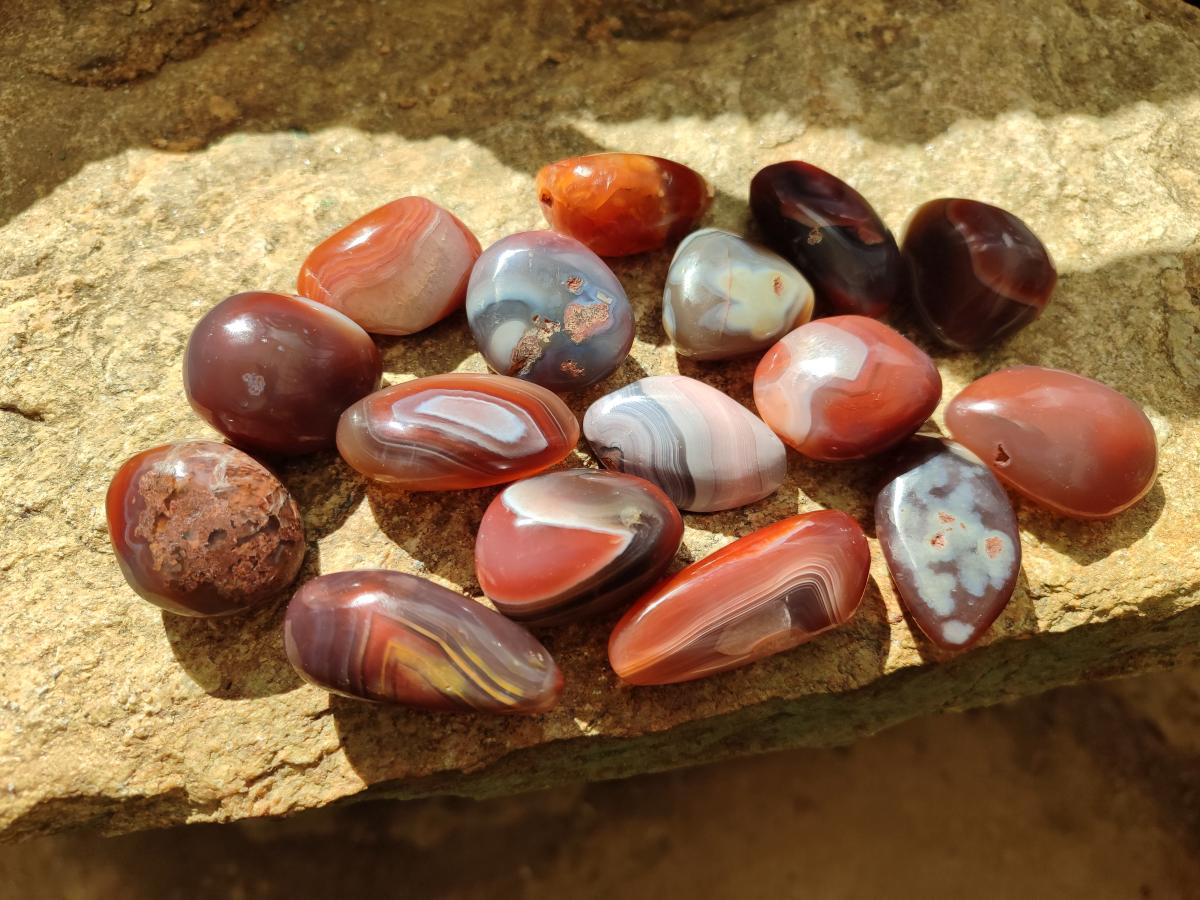 Polished Red Shashe River Agate Free Forms x 70 From Shashe River, Zimbabwe - Toprock Gemstones and Minerals 