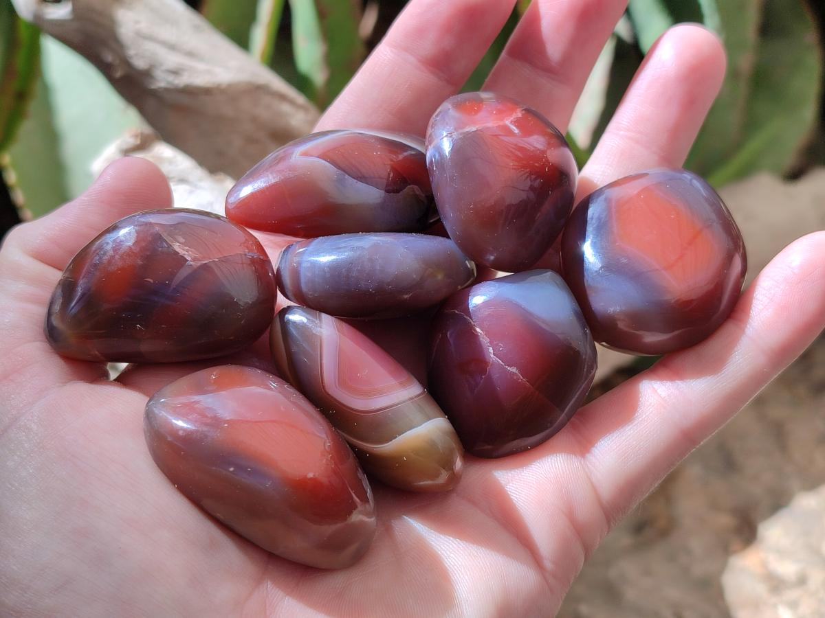 Polished Red Shashe River Agate Free Forms x 70 From Shashe River, Zimbabwe - Toprock Gemstones and Minerals 