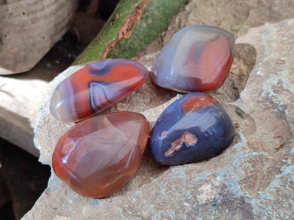Polished Red Shashe River Agate Free Forms x 70 From Shashe River, Zimbabwe - Toprock Gemstones and Minerals 