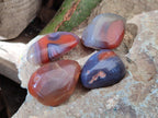 Polished Red Shashe River Agate Free Forms x 70 From Shashe River, Zimbabwe - Toprock Gemstones and Minerals 