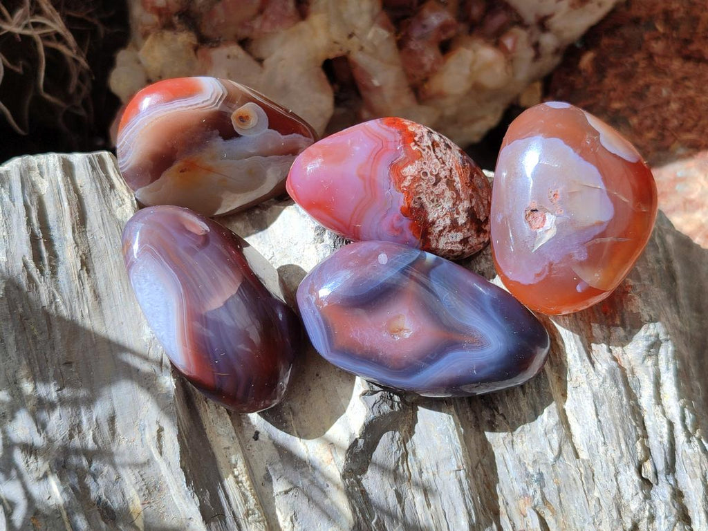 Polished Red Shashe River Agate Free Forms x 70 From Shashe River, Zimbabwe - Toprock Gemstones and Minerals 