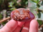 Polished Red Shashe River Agate Free Forms x 70 From Shashe River, Zimbabwe - Toprock Gemstones and Minerals 