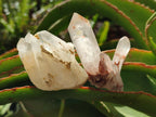 Natural Clear Quartz Clusters x 35 From Madagascar - Toprock Gemstones and Minerals 