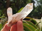 Natural Clear Quartz Clusters x 35 From Madagascar - Toprock Gemstones and Minerals 
