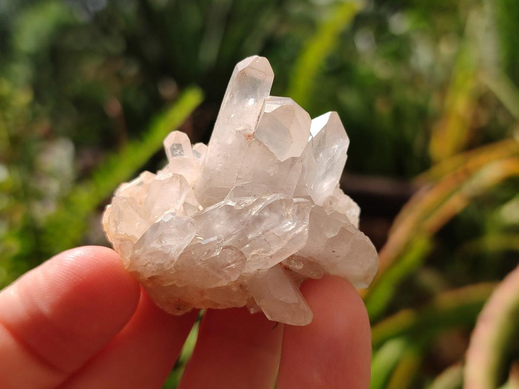 Natural Clear Quartz Clusters x 35 From Madagascar - Toprock Gemstones and Minerals 