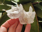 Natural Clear Quartz Clusters x 35 From Madagascar - Toprock Gemstones and Minerals 