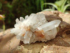 Natural Clear Quartz Clusters x 35 From Madagascar - Toprock Gemstones and Minerals 