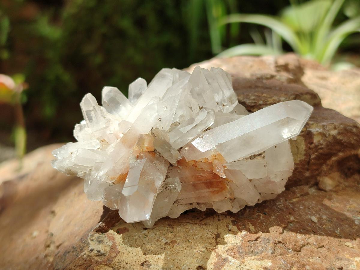 Natural Clear Quartz Clusters x 35 From Madagascar - Toprock Gemstones and Minerals 