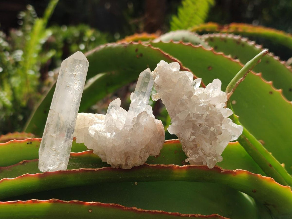 Natural Clear Quartz Clusters x 35 From Madagascar - Toprock Gemstones and Minerals 