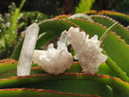 Natural Clear Quartz Clusters x 35 From Madagascar - Toprock Gemstones and Minerals 