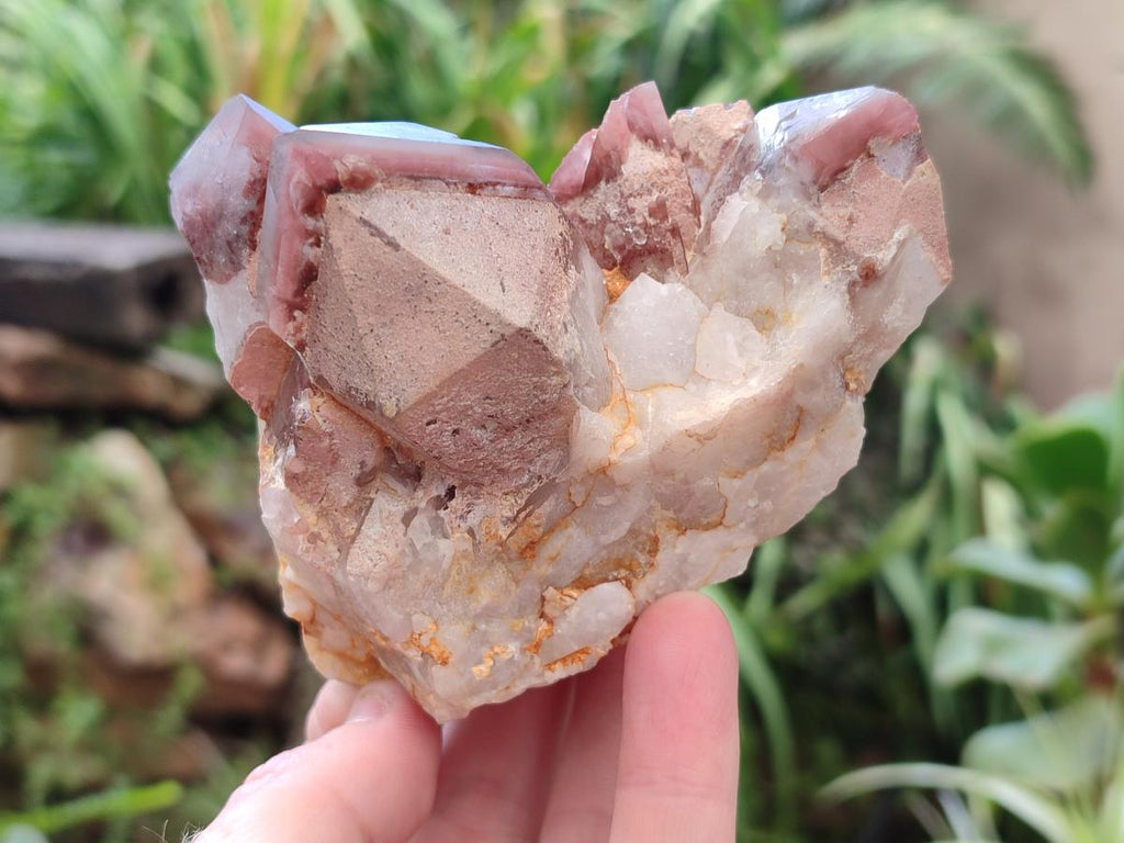 Natural Red Hematoid Quartz Crystal Clusters x 4 From Karoi, Zimbabwe - Toprock Gemstones and Minerals 