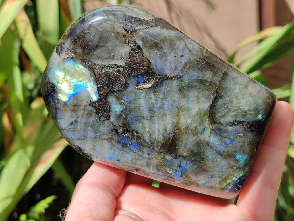 Polished Labradorite Standing Free Forms x 2 From Madagascar - Toprock Gemstones and Minerals 