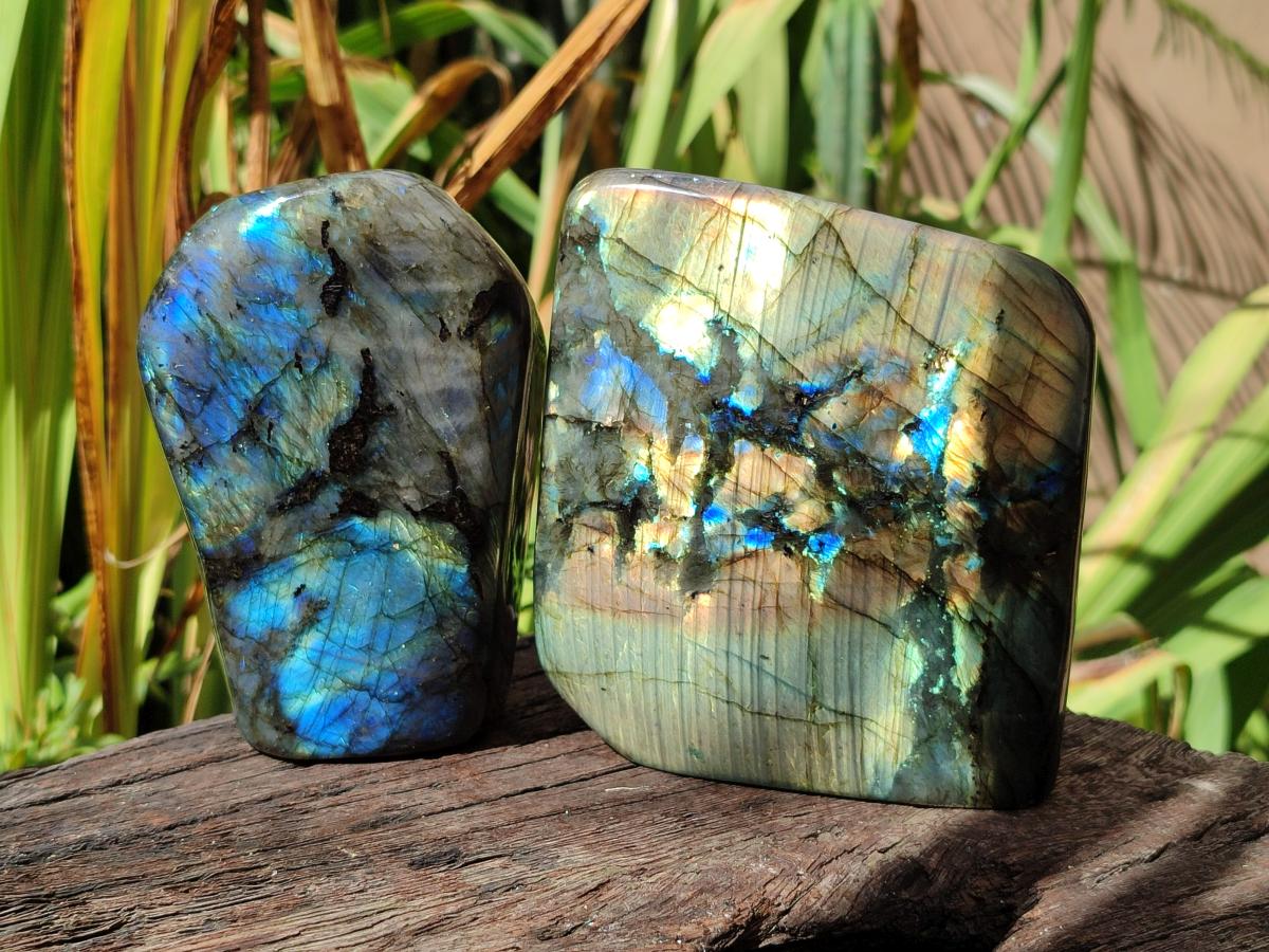 Polished Labradorite Standing Free Forms x 2 From Madagascar - Toprock Gemstones and Minerals 