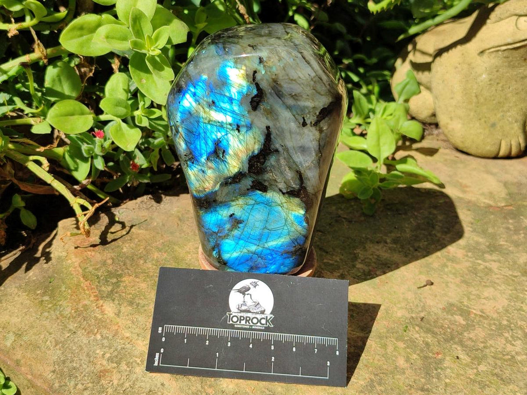 Polished Labradorite Standing Free Forms x 2 From Madagascar - Toprock Gemstones and Minerals 