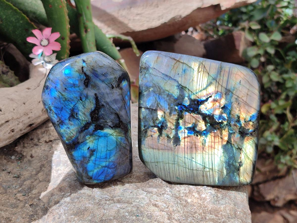 Polished Labradorite Standing Free Forms x 2 From Madagascar - Toprock Gemstones and Minerals 