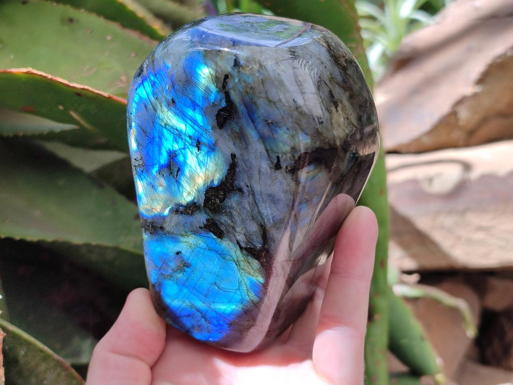 Polished Labradorite Standing Free Forms x 2 From Madagascar - Toprock Gemstones and Minerals 