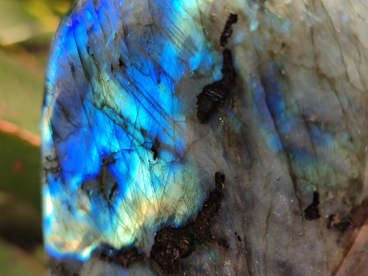 Polished Labradorite Standing Free Forms x 2 From Madagascar - Toprock Gemstones and Minerals 