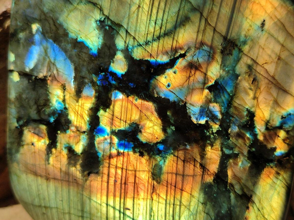 Polished Labradorite Standing Free Forms x 2 From Madagascar - Toprock Gemstones and Minerals 