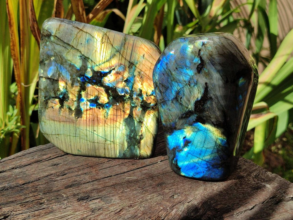 Polished Labradorite Standing Free Forms x 2 From Madagascar - Toprock Gemstones and Minerals 