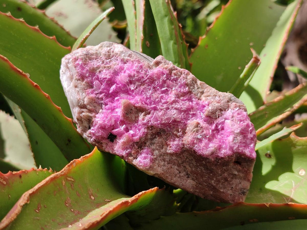 Natural Salrose Cobaltoan Dolomite with Malachite and Chrysocolla Specimens x 6 From Kakanda, Congo - Toprock Gemstones and Minerals 